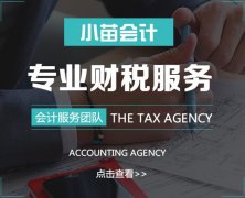 专业财务服务 社保(五险一金)代理  会计代理 公司注册