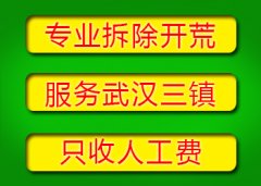 武汉吊顶拆除装修改造墙体拆除广告牌灯箱拆除室内翻新