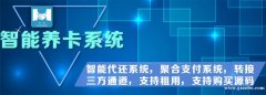 零零壹支付系统定制平台开发，能力多大，市场就有多大