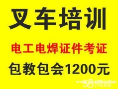 上海浦东区张江镇叉车培训哪里报名时间